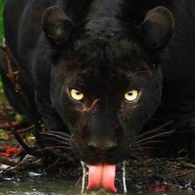 Profile picture of Patrick