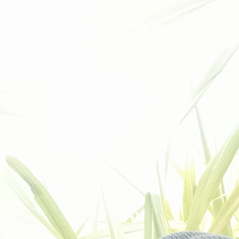 Profile picture of Opiyo