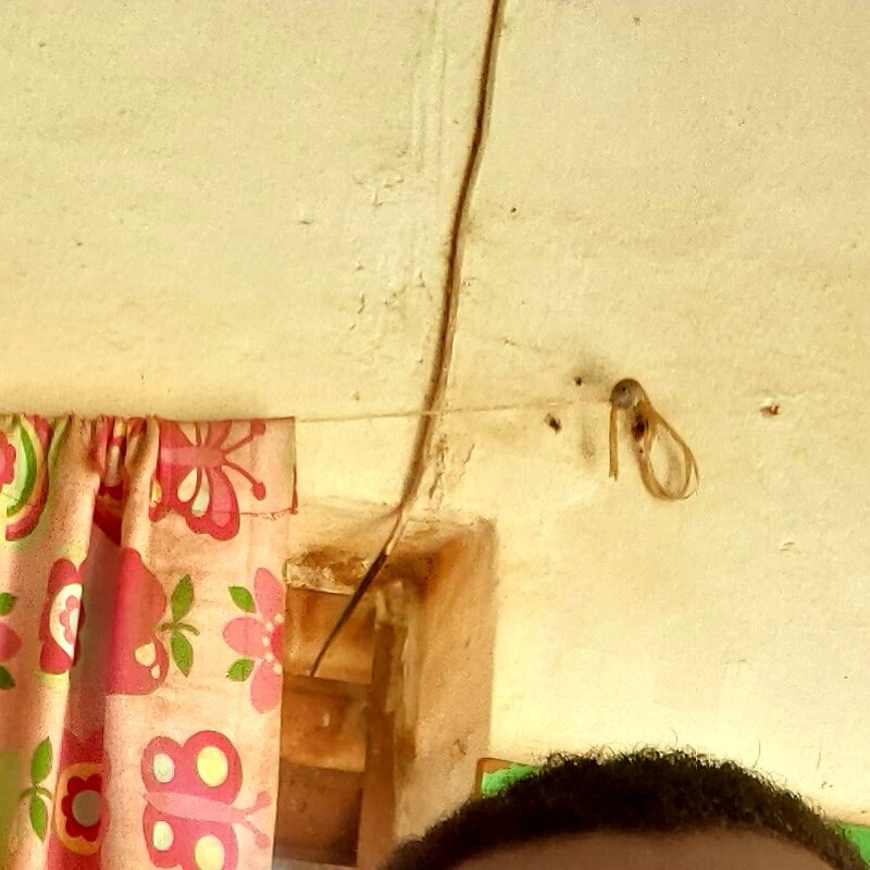 Profile picture of Elijah