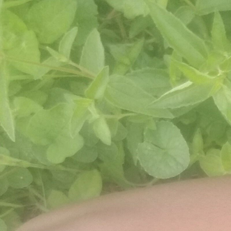 Profile picture of Fred